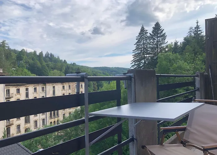 Apartment Le Duo Thermal Plombieres-les-Bains